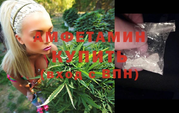 дмт Алзамай