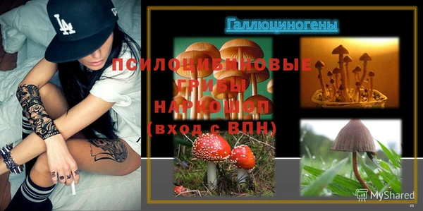 дурь Армянск