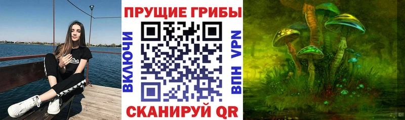 Галлюциногенные грибы Psilocybe  Жуковка 